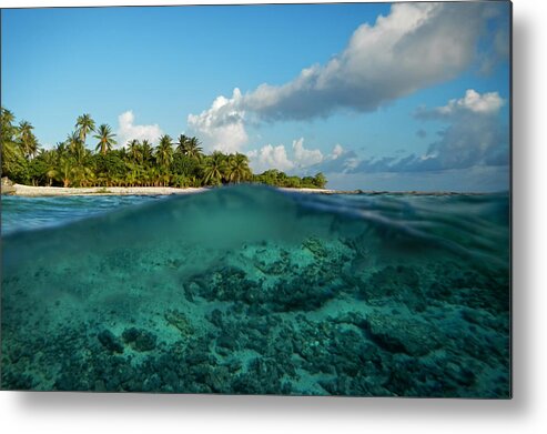 Land Metal Print featuring the photograph Land and Sea by Cactus Sun Studio