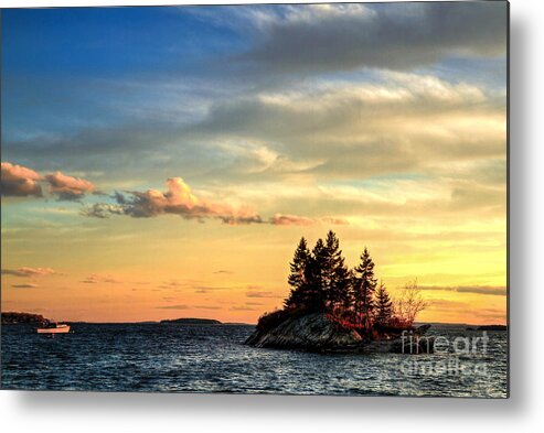Minnow Metal Print featuring the photograph Land Ho by Brenda Giasson