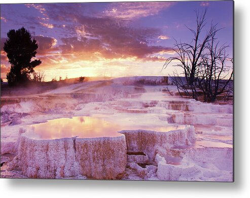 Scenics Metal Print featuring the photograph Landscape Mammoth Hot Springs In by Jtbaskinphoto