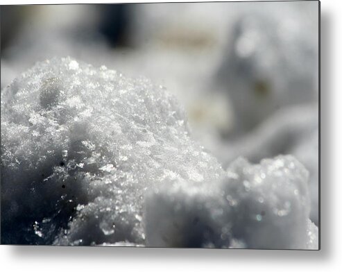 Snow Flakes Metal Print featuring the photograph Large Snow Flakes by Dr Carolyn Reinhart