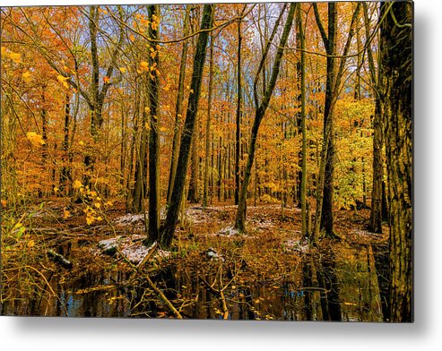 Landscape Metal Print featuring the photograph Last of Autumns Color by Louis Dallara