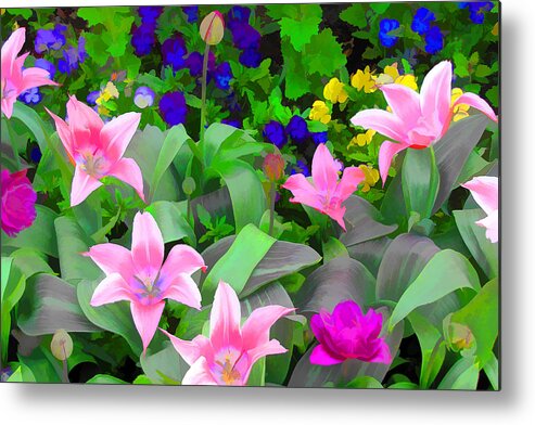 Tulips Metal Print featuring the photograph Late Bloomer by John Freidenberg