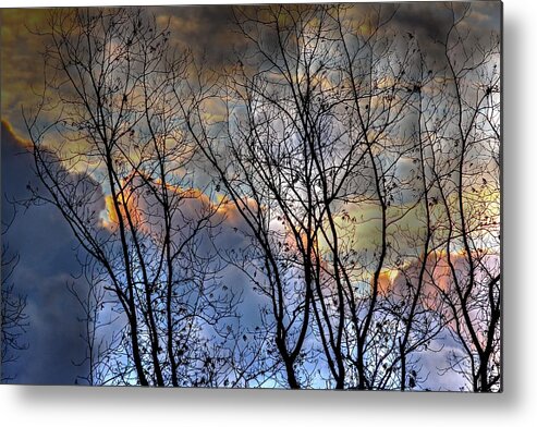 Sunrise Metal Print featuring the photograph Late Fall Sunrise by Liz Vernand