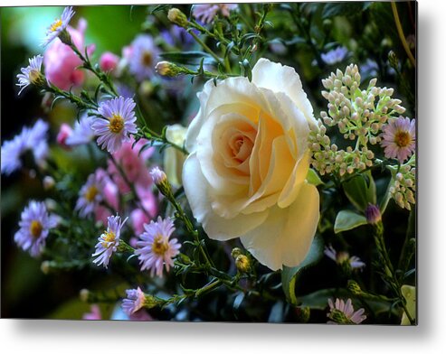 Flowers Metal Print featuring the photograph From Laurie's Garden by Rory Siegel