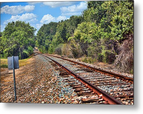 Nature Metal Print featuring the photograph Leading to the Future by Linda Phelps