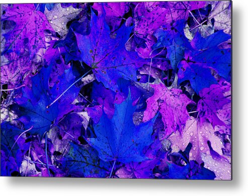 Abstract Metal Print featuring the photograph Leaves by Aimee L Maher ALM GALLERY