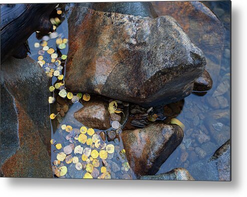Autumn Colors Photographs Metal Print featuring the photograph Leaves in a Stream by Jim Garrison