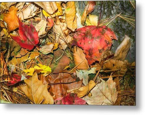 Autumn Metal Print featuring the photograph Leaves of the Fall Great Smoky Mountains Painted by Rich Franco