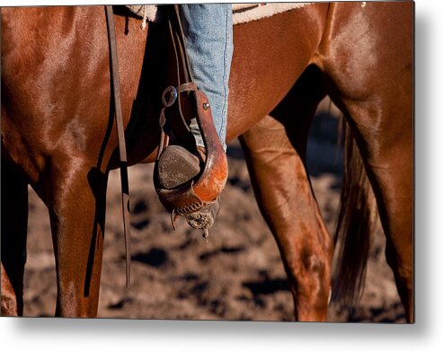 Horse Metal Print featuring the photograph Legs - Colour by Michelle Wrighton