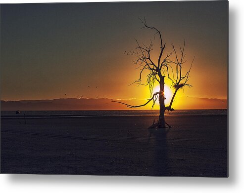 Salton Sea Metal Print featuring the photograph Life on Mars by Mike Trueblood