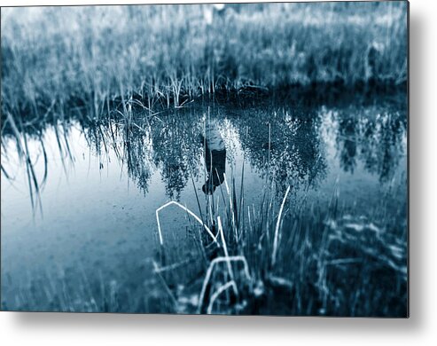 River Metal Print featuring the photograph Life's Reflections by Lisa Holland-Gillem