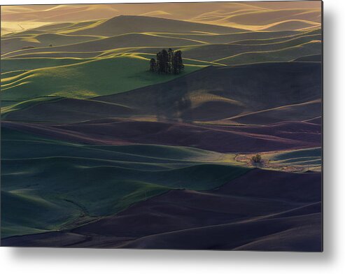 Fields Metal Print featuring the photograph Light And Shadow by ??? / Austin