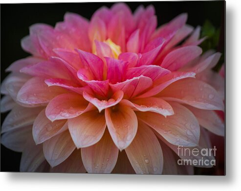  Metal Print featuring the photograph Light in the Darkness by Patricia Babbitt