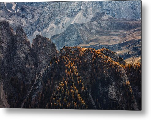 Landscape Metal Print featuring the photograph Light Of Autumn by Uschi Hermann