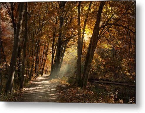 Landscape Metal Print featuring the photograph Lighting The Path by Robin-Lee Vieira