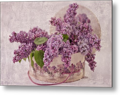 Lilac Metal Print featuring the photograph Lilacs In The Box by Sandra Foster