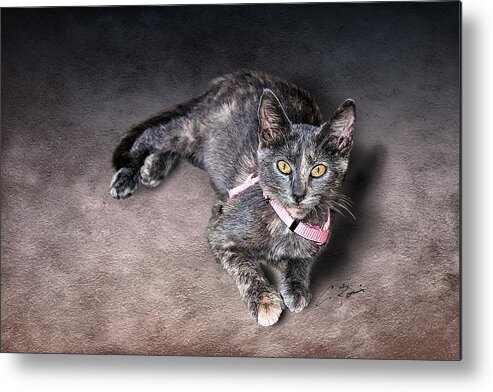 Cat Metal Print featuring the painting Lilly by Charlie Roman