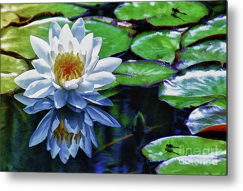 Pond Metal Print featuring the painting Lily and Dragon Flies by Elaine Manley