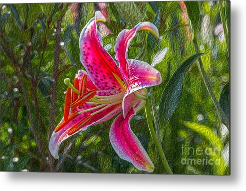 Lily Metal Print featuring the photograph Lily by Bernd Laeschke