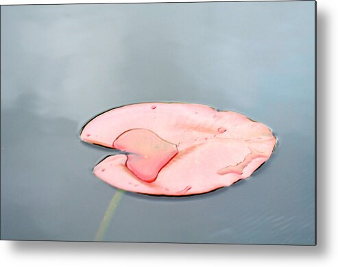 Lilypad Metal Print featuring the photograph Lilypad Love by Catherine Murton
