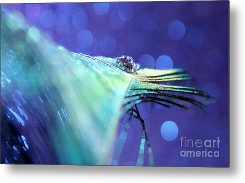 Peacock Feather Metal Print featuring the photograph Liquid Future by Krissy Katsimbras