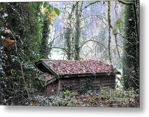 Cabin Metal Print featuring the photograph Little Cabin in the Woods by Tatyana Searcy