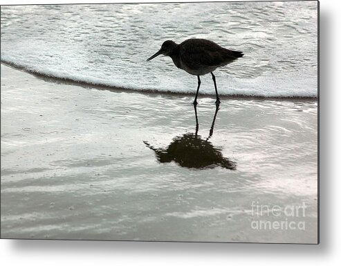 Beach Metal Print featuring the photograph Little Footsteps by Dan Holm