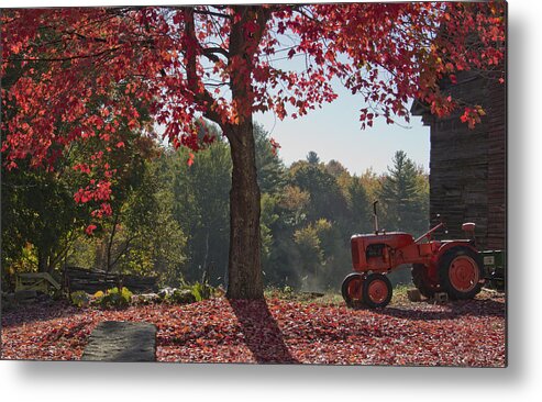Tractor Metal Print featuring the photograph Little Red Tractor by Diana Nault