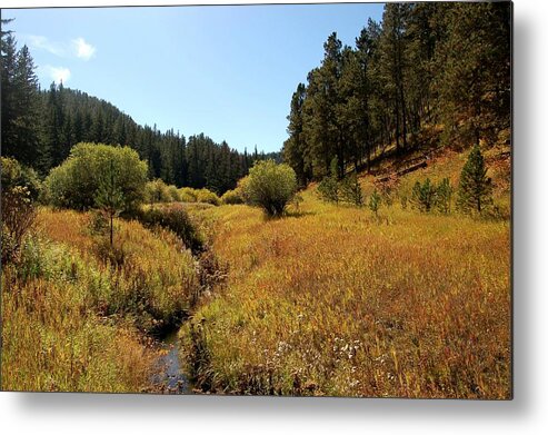 Little Spearfish Metal Print featuring the photograph Little Spearfish Creek in Autumn by Greni Graph