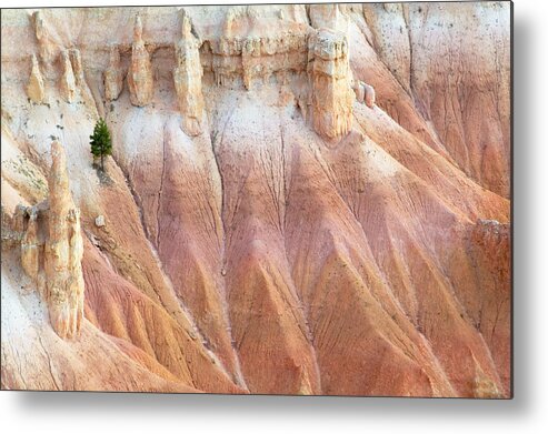 Canyon Metal Print featuring the photograph Little Things by Laura Tucker