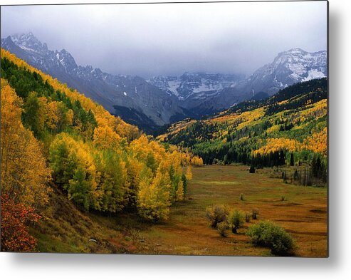 Colorado Metal Print featuring the photograph Little Meadow of the Sublime by Eric Glaser