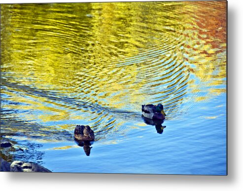 Colorado Metal Print featuring the photograph Littleton Pond 2 by Angelina Tamez