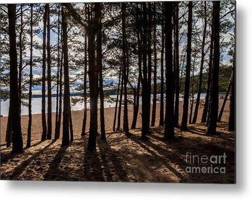 Sand Metal Print featuring the photograph Loch Morlich Through The Trees by Diane Macdonald