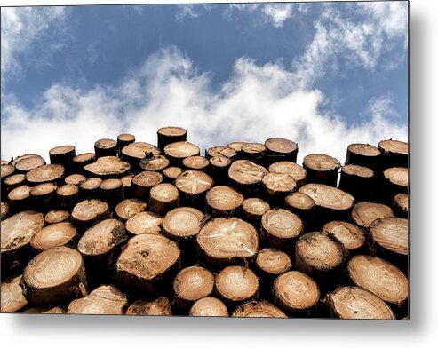 Log Wood Metal Print featuring the photograph Logs by Mike Santis