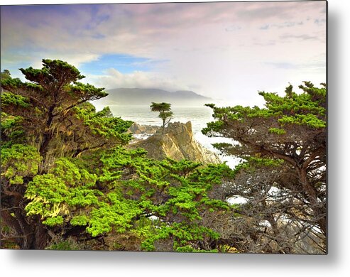 Cypress Metal Print featuring the photograph Lone Cypress by Michael Ontiveros by California Coastal Commission
