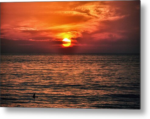 Beach Metal Print featuring the photograph Lone Surfer - Cardiff By The Sea - San Diego - California by Bruce Friedman