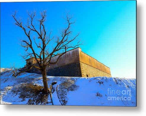 Fort Washington Metal Print featuring the photograph Lone Survivor by Jeff at JSJ Photography