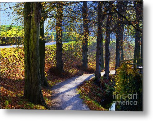 Holland Dutch Parks Morning Light Metal Print featuring the photograph Lone Walk by Rick Bragan