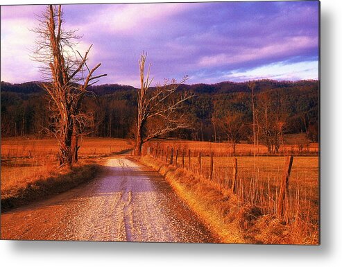 Fine Art Metal Print featuring the photograph Lonely Road by Rodney Lee Williams