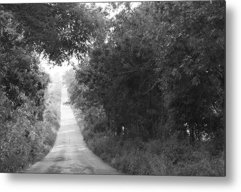 Country Road Fog Summer Day Quiet Evening Walk Metal Print featuring the photograph Lonesome Road by Terry Scrivner