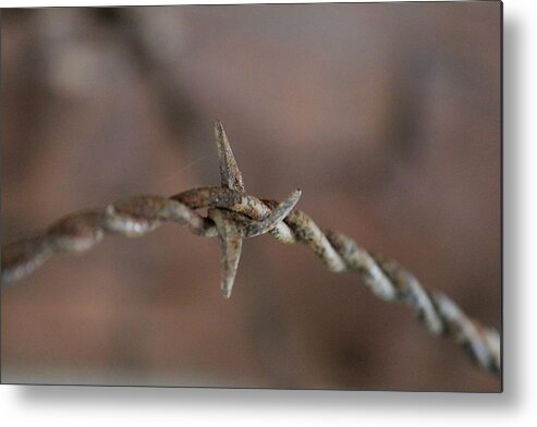 Long Metal Print featuring the photograph Long Ago by Trent Mallett