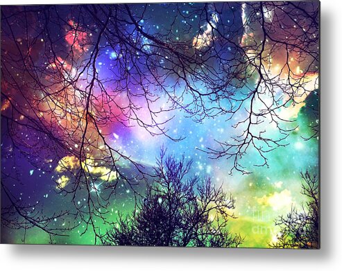 Night Metal Print featuring the photograph Look to the Stars by Sylvia Cook