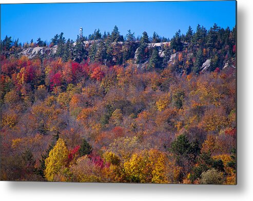 Adirondack's Metal Print featuring the photograph Looking at the Top of Bald Mountain by David Patterson