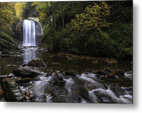 Brevard Metal Print featuring the photograph Looking Glass Falls by Walt Baker