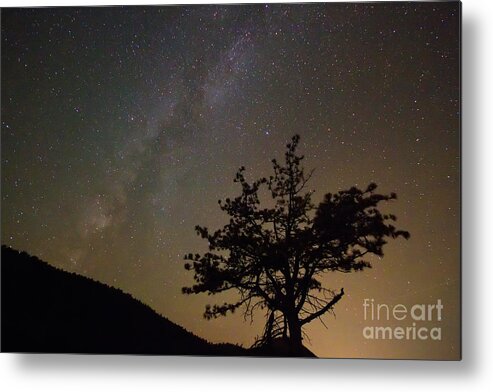 Stars Metal Print featuring the photograph Lost in the Night by James BO Insogna