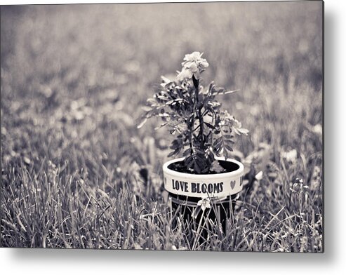 Love Metal Print featuring the photograph Love Blooms by Sara Frank