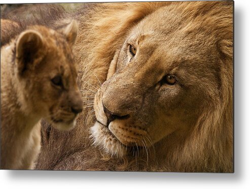 Africa Metal Print featuring the photograph Love by Christine Sponchia