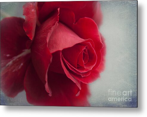 Love Is A Canvas Metal Print featuring the photograph Love is a Canvas by Sharon Mau