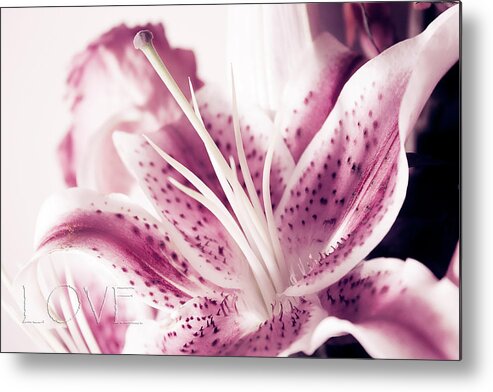 Lilly Metal Print featuring the photograph Love by Milena Ilieva