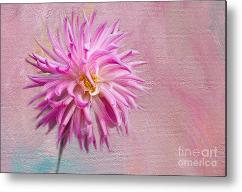 Texture Metal Print featuring the photograph Lovely Pink Dahlia by Norma Warden